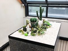 -大树餐厅(红旗街万达店)