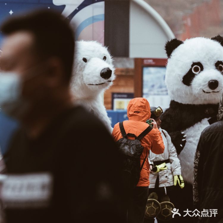 密苑云顶乐园❄️崇礼滑雪必打卡雪场推荐!