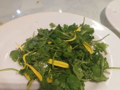 -裕龙汤泉