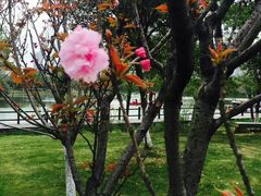 -艾溪湖湿地公园