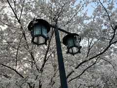 -苏州上方山国家森林公园