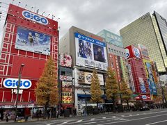 -秋叶原电器街