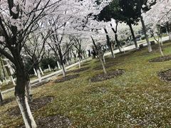 -江南大学(蠡湖校区)