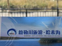 -哈素海