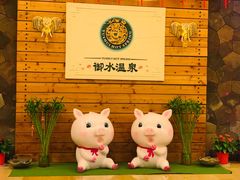 -天目湖御水温泉·度假酒店