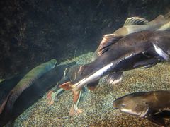 -太平洋海底世界