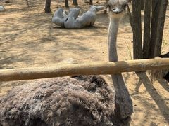 -大连森林动物园