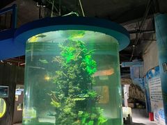 -嘉兴海底世界
