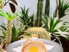 -J Create城市露营咖啡·简餐·宠物(上海动物园店)