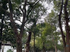 -西园戒幢律寺