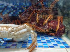 -欧记·龙城港(欣都店)