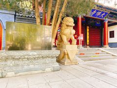 -张掖大佛寺景区