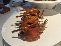 -三强鸽子(中原路店)