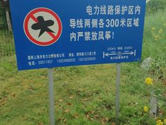 -九科绿洲
