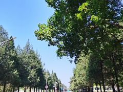 -北京大学(昌平校区)