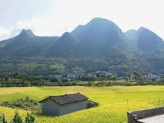 -万峰林风景区