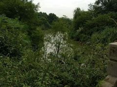 -梁鸿国家湿地公园