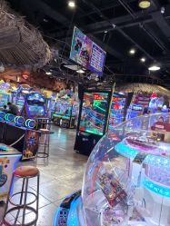 -卡通尼·Safari非洲探索乐园·生日会(金桥国际商业广场店)