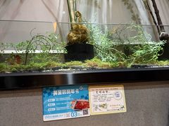 -吉庆莲年有鱼炭烤鱼(苏宁广场店)