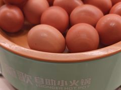 -龍歌自助小火锅(市北台东利群店)