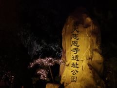 -大雁塔北广场音乐喷泉