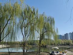 -西海子公园