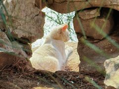 -李叔同故居纪念馆