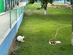 -西霞口神雕山野生动物世界