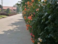 -意大利农场度假村