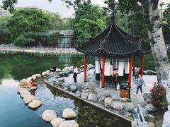 -莲湖公园