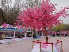 -桃花堤公园