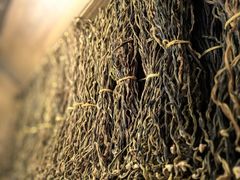 -龙抄手食府(浣花北路店)