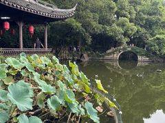 -绮园景区