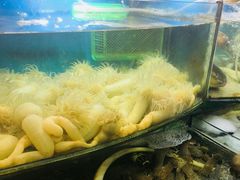 -富港会·海鲜酒楼(墟沟店)