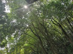 -重庆彩云湖湿地公园