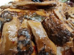 -鲁宴·鲁煨黄河生态大鲤鱼(月坛店)