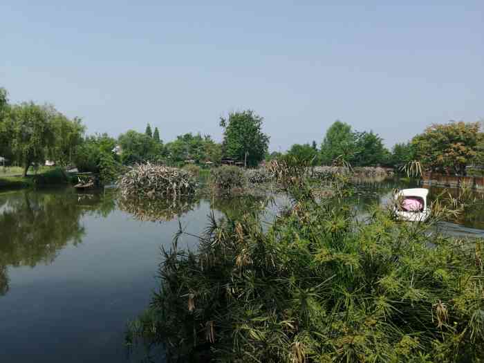 郫都香草湖湿地公园图片