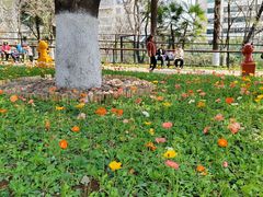 -昆明动物园