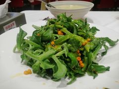 -凯鸽酒楼(大同振兴街店)