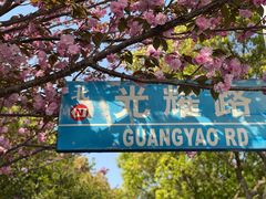 -高东镇樱花园