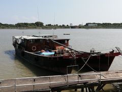-大湾区中央湿地公园-十九涌