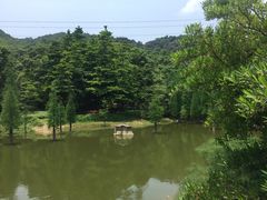 -广州市帽峰山景区