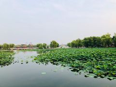 -长春市南湖公园