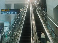-郑州新郑国际机场-T2航站楼