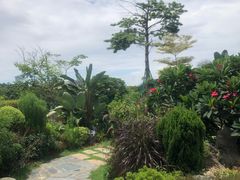 -东莞植物园