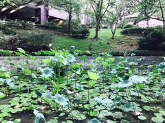 -香港大学