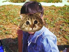 园方组织的，在公园里野餐，小朋友都好激动，终于能像小猪佩奇一样野餐了-金宝森幼园