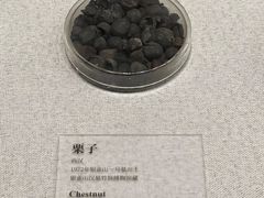 -银雀山汉墓竹简博物馆