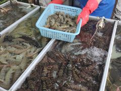 -南沙十九涌渔人码头-南门