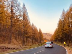 -塞罕坝国家级自然保护区